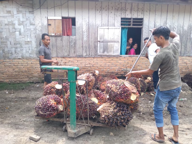 Aktivitas oleh warga pembenahan KUD SUMUT